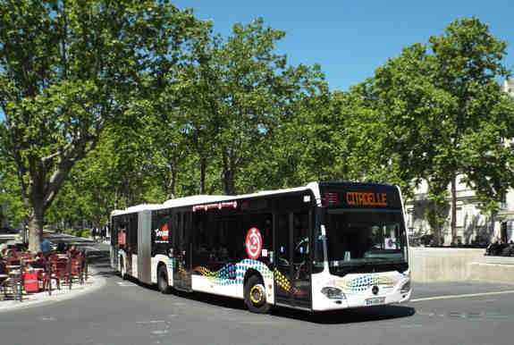 Nîmes : des services estivaux en bus du centre-ville ciblés par le parti communiste