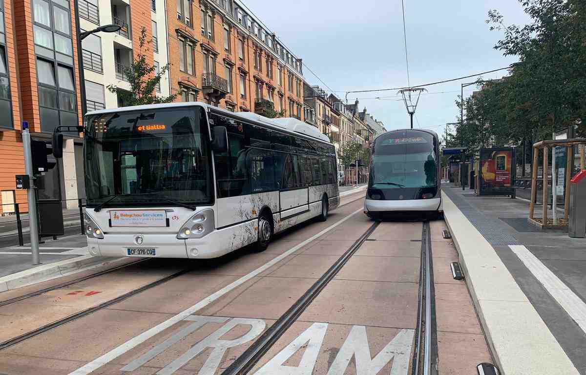 Strasbourg. Bus et trams gratuits pour la vente en gros du samedi 30 juillet